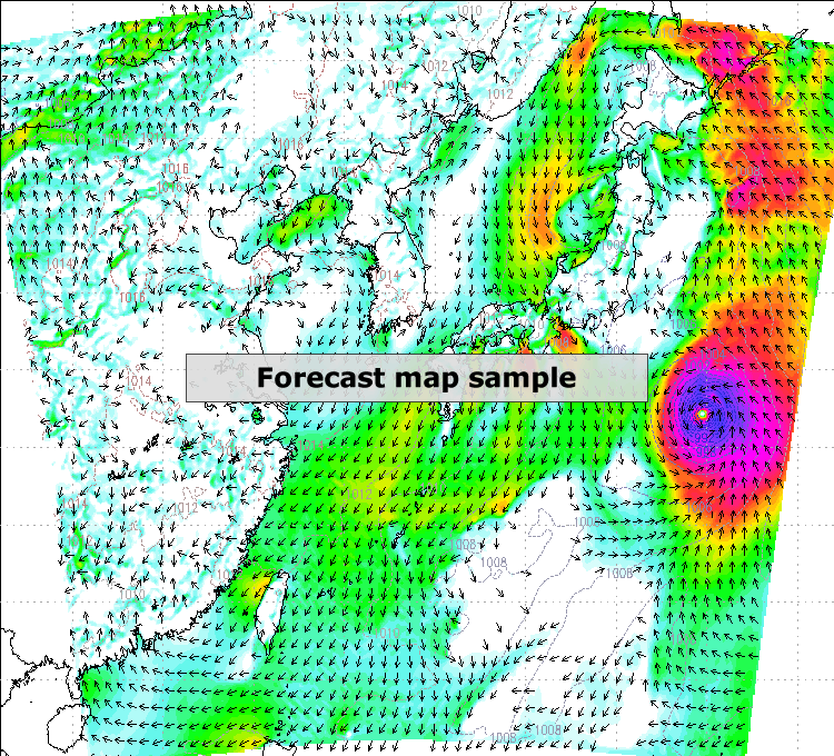 forecast map
